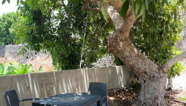 Casa Patio FincaEcoAmaro - Foto 4, Garden