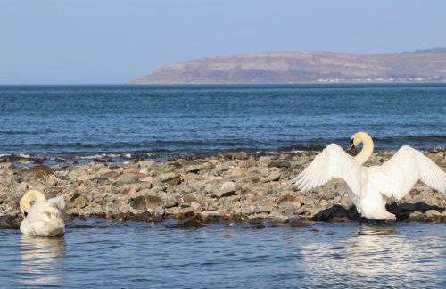 Haddef Penmaenmawr - Foto 41