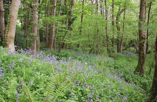 Luggs Barn - Beautiful Devon Hideaway - Photo 8