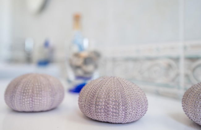 Surf Sound B Flat in Livorno - Foto 11