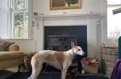 Beautiful Listed Mansion with incredible woodland views - Photo 21