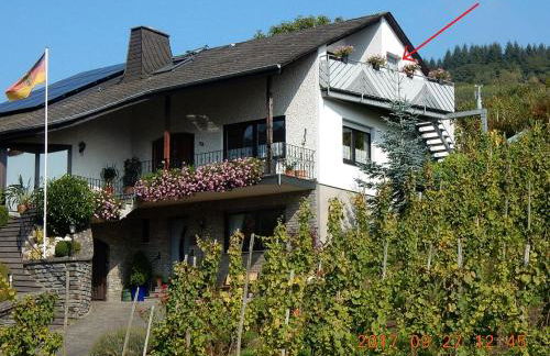 Mosel-Panorama - Foto 1