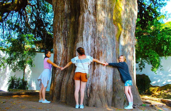 Tour in Valle de Bravo - Foto 6