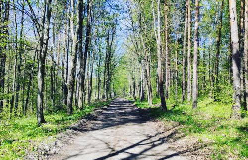 Zagroda Mazury -,,Domki nad Rozlewiskiem" - Foto 52
