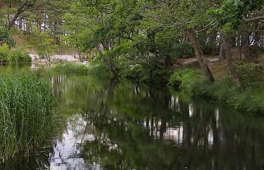 Morska Szyszka & Leśne SPA - Foto 18