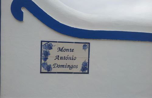 Monte Antonio Domingos - Foto 20