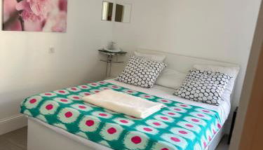 Le Jardin Darcy Liberté Hyper centre gare-ville parking public payant dans la rue - Foto 3