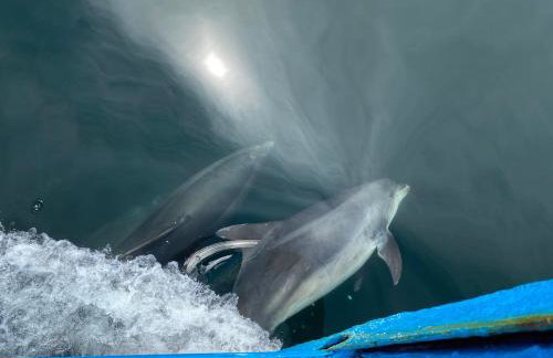 Red Watch Apartment - Foto 18