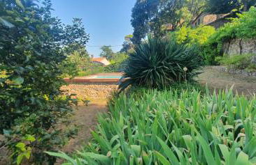 Apartment with sea/city views, near downtown Sète - Foto 9