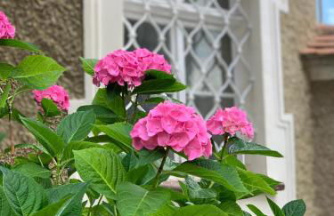 Schloß Hürbel Rosengarten - Suite - Foto 33