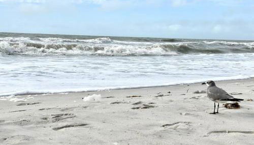 Waterfront Home With Heated Pool/Jacuzzi and only 1mile to beach - Foto 4