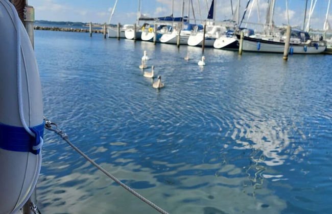 Houseboat Hecht in Egernsund at the Marina Minde - Foto 26