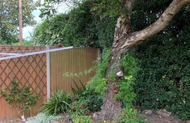 Cheerful 3 bedroom home close to beach and High St - Foto 14