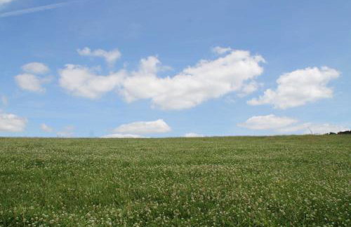 Hainhof Gästewohnungen - Foto 30