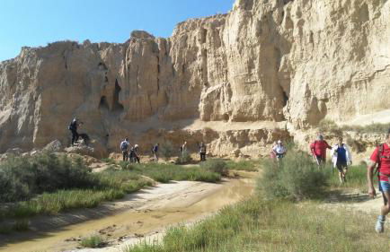 Alojamiento Rural La Cañada - Foto 115