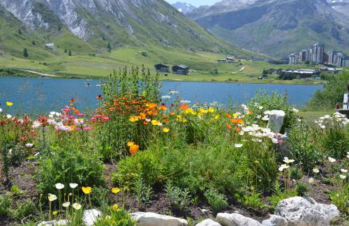 Residence Santa Terra - Foto 113