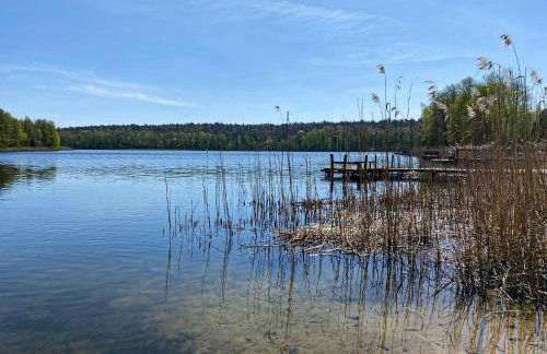 Wynki no. 69 - Photo 26