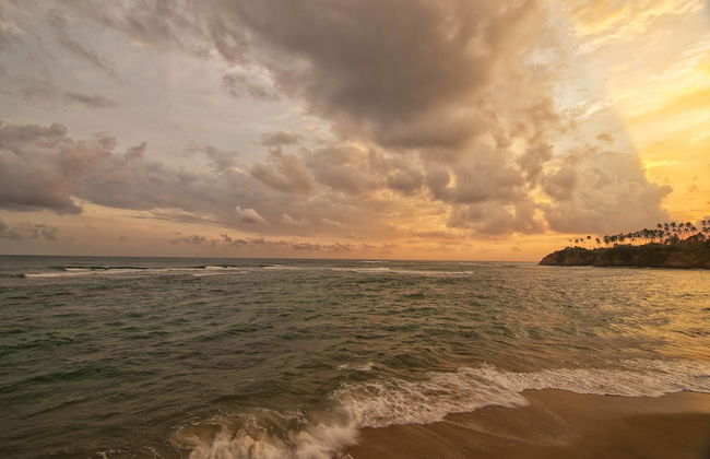 Suriyawatta - Photo 44