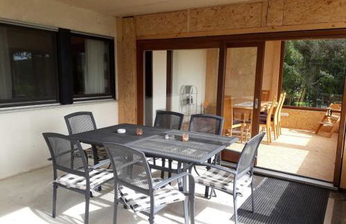 Bauernhofpension Büchsenschütz - Foto 66