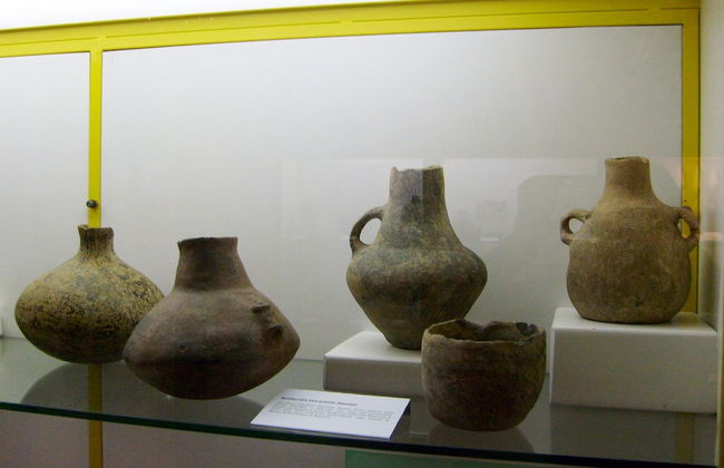 Agriturismo Bio Aia della Colonna - Foto 62