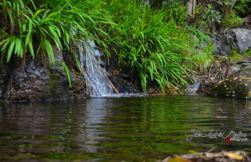 Cosy Chalet with Terrace in Hermigua - Ideal for Couples - Foto 56