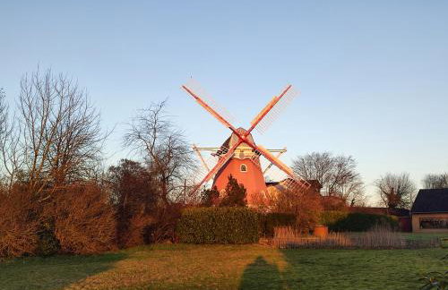 Ferienwohnung Meta Fischerhude - Foto 24