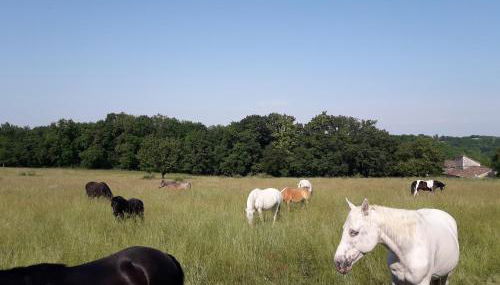gîtes de Combelcau, le Pigeonnier - Foto 3