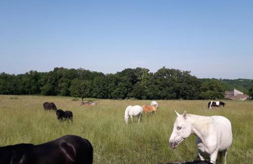 gîtes de Combelcau, le Pigeonnier - Foto 3