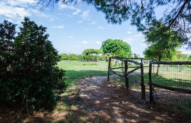 Agriturismo Il Roseto - Foto 64