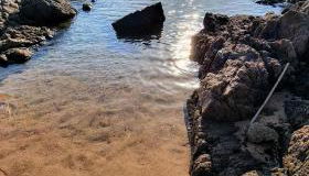 Villa Tramonti di Gallura - Photo 2