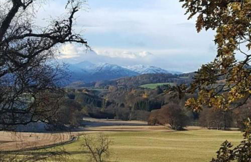 Birch Lodge, Pitlandie - Luxury 2 Bedroom Lodge with Sauna - Photo 1