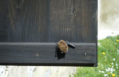 Venta la Aurora - Foto 15