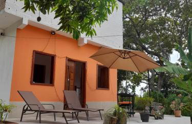 Abelha & Peixe Boi - Photo 25