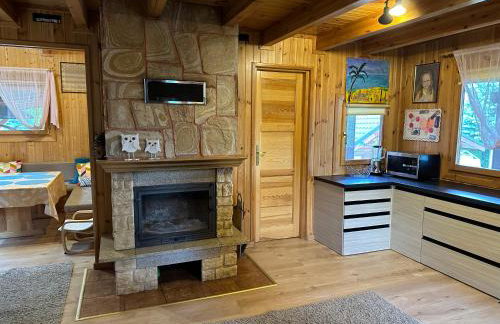 Mazury na Śląsku - Dom Wakacyjny z basenem - Foto 16