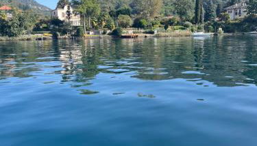 LA RONDINE - Photo 5