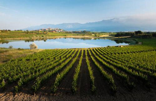 La Barbacana - Foto 56