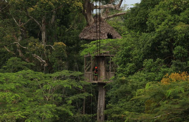 Tour de aventura em Iquitos - Foto 4