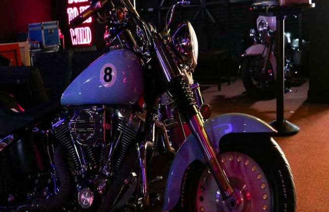 Iguazú - Traumpark - mit Transfer - Foto 5