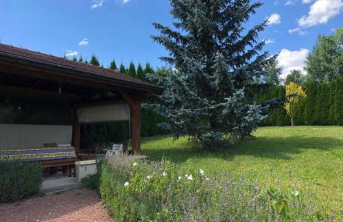Maison/Gîte familial dans le Jura à 200m du lac avec piscine privée - Foto 33