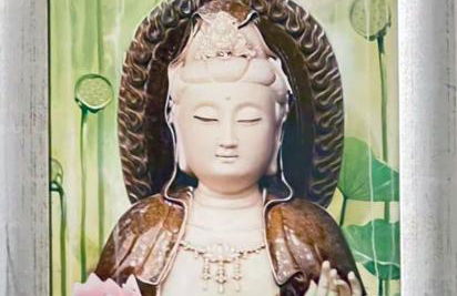 Cosmopolitan am Schlosspark - Foto 14