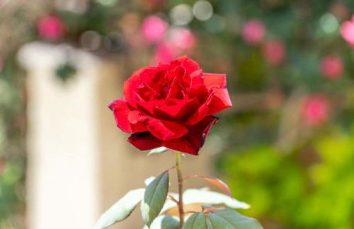 angela panorama - Foto 35