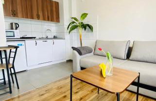 Apartamenty Teatralne - Foto 45