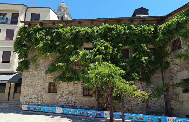 Visita guiada por Ponferrada y su castillo - Foto 13