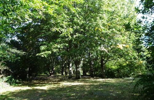 Le Petit Logis - Foto 6