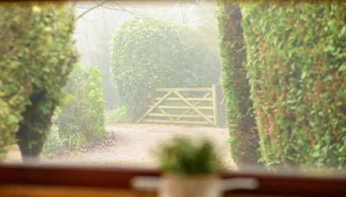 Mulberry Cottage - Photo 3