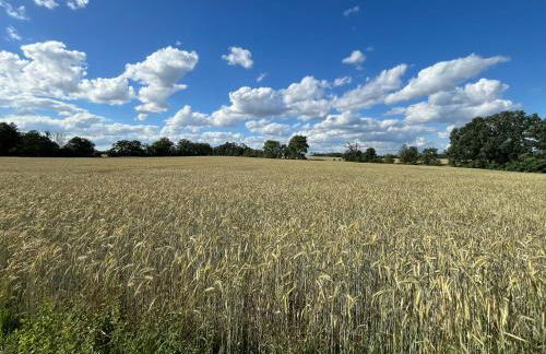 TOP-Ferienwohnung bei Berlin, bis 3 Gäste, Terrasse und Garten - Foto 28