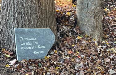 Wedgewood Cottage - Photo 26