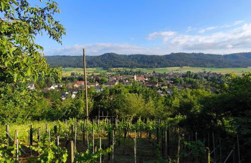 Bo'SeeAnNa I - Foto 19