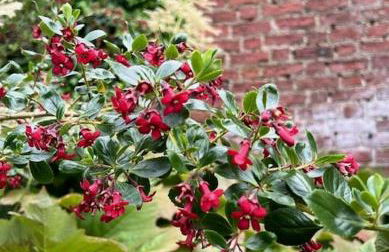 The Cottage, Walworth Demesne - Foto 38