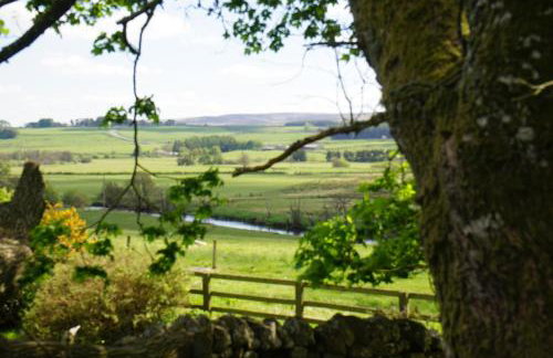 Elishaw Farm Holiday Cottages - Foto 65